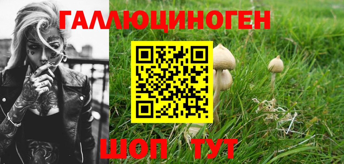 Галлюциногенные грибы Cubensis Котлас